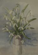 Frances Harper (Contemporary)