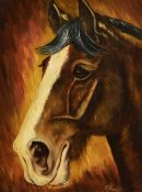 F.Haworth (20th Century, British), oil on canvas, A head portrait of a horse against an auburn