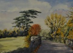 Veronica Ayre (20th Century), watercolour, A tree lined path with blue sky above, signed to the