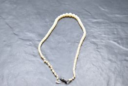 A short string of graduated cultured pearls with silver clasp, approx 16'