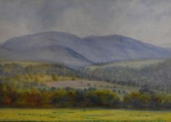 20th Century, British School, a watercolour, A pastoral landscape depicting a luscious green field