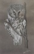 Rita J. Barton (20th Century), two chalk studies on paper, Portraits of owls, signed to the lower