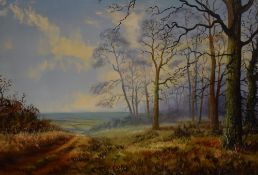 Stanley Ernest Dollimore (1915-2001), oil on canvas, 'Weald of Kent', signed to the lower left,