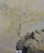 *Local Interest - After William Heaton Cooper RA (1903-1995), a coloured print, 'Young Ash In
