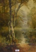 Thomas Tayler Ireland (b.1874, British), a pair of watercolours, Birch Trees, displayed within later