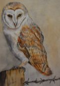 D.N Robinson (Contemporary, British), a mixed media, A barn owl, signed to the lower left, framed,