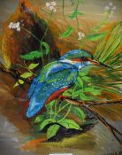 D.R. Blyth (20th Century), oil on board, A Kingfisher portrait, signed to the lower right, displayed