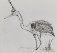 ABW (20th Century), pen and ink, two bird studies, comprising heron and tern, plus an additional
