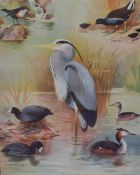After Roland Green (1890-1972), coloured print, 'Birds Of The Waterside', framed and under glass,