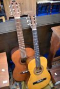 Two acoustic guitars, Eko and Encore