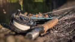 Country Pursuits 4