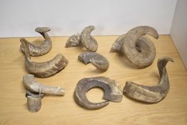 A box of 8 sheeps horns