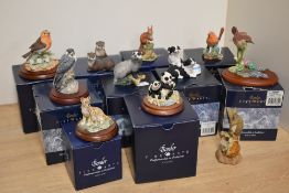 A collection of ten small Border Fine Arts animal studies, to include 'Future Stars' B0359, 'Panda &