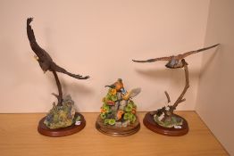 A Border Fine Arts ornithological study 'Flying Eagle' A1277, modelled by Russell Willis for the '