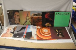 A ten album lot - all NZ pressings - as per photos - rare and unique items that were made in limited