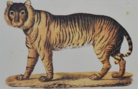 After Lilian Cheviot (1876-1936, British), coloured prints, an assorted collection of reproduction