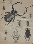 An assorted collection of prints after engravings, and other artwork, to include illustrations of