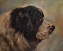 19th Century British School, possibly Robert Rendall (1898-1967), oil on canvas, A head study of a