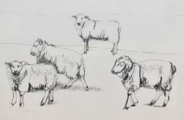 Dido Crosby MRSS (b.1961, British), pencil on paper, '4 Sheep Romney', signed and dated '7.9.01'