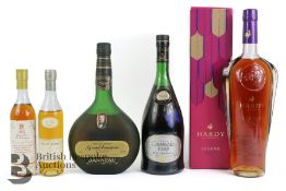 Bottles of Cognac and Armagnac