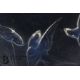 French Sabino Glass Bowl - Image 4 of 7