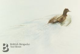Raymond Harris-Ching (New Zealand b.1939) - Mallard Hen in Water