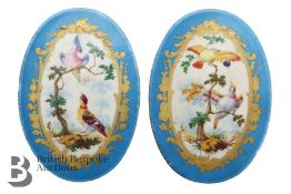 Sevres Porcelain Plaques