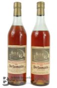 Two Vintage Bottles of Cognac Grande Champagne Delamain