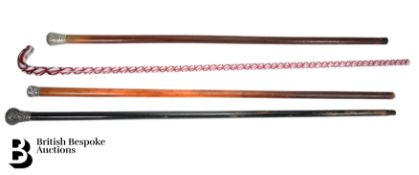 Collection of Walking Sticks