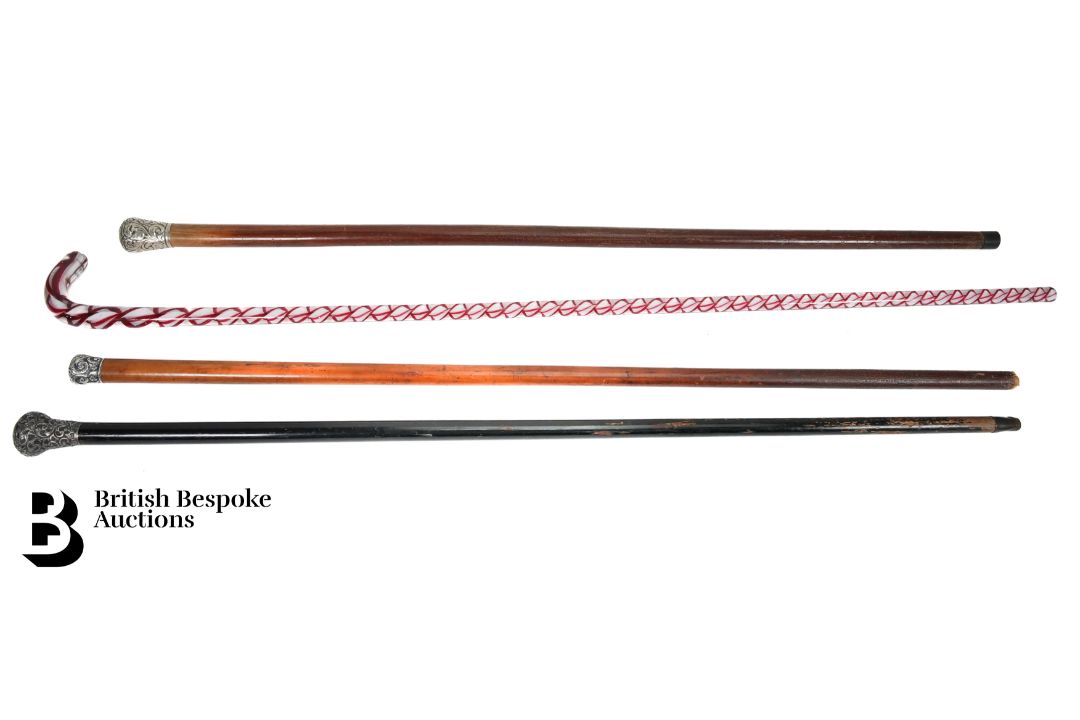 Collection of Walking Sticks - Image 1 of 3