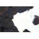 Large Holstein Cow Hide - Image 3 of 4