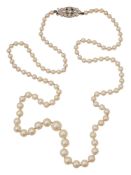 A cultured pearl necklace