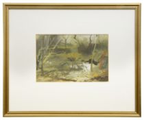 John Scarland (British, B.1947)