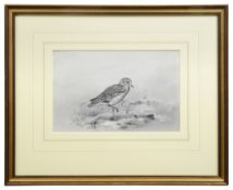 George Edward Lodge (British, 1860-1954)