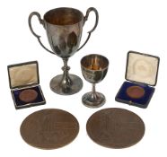 A Great War 'family pair' of Bronze Memorial plaques to brothers.