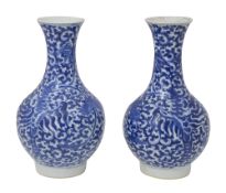 A pair of Chinese blue and white porcelain vases