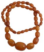 An amber 'butterscotch' coloured graduated bead necklace