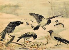 LARGE EARLY 20TH CENTURY LITHOGRAPH CROW PRINT