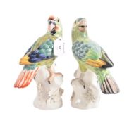 PAIR OF MEISSEN MANNER PAINTED PARAKEETS