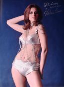 VALERIE LEON COLLECTION - LARGE 16X12