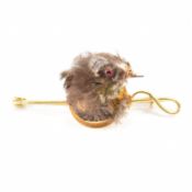 VICTORIAN TAXIDERMY BIRD & GOLD BROOCH PIN