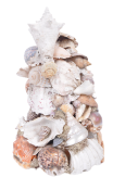 LATE 19TH CENTURY VICTORIAN SEASHELL DISPLAY
