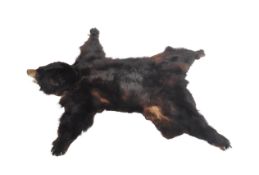 TAIXDERMY - LARGE 20TH CENTURY BEAR SKIN FLOOR RUG
