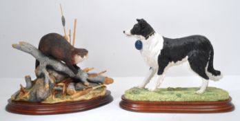 BORDER FINE ARTS - BORDER COLLIE - NOS LIMITED EDITION SCULPTURE