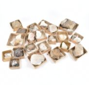 NATURAL HISTORY - ASSORTED SPECIMEN ROCKS