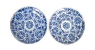 PAIR OF 19TH CENTURY BLUE & WHITE PLATES