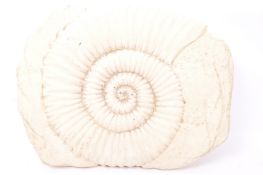MANTELLICERAS GIANT AMMONITE FOSSIL