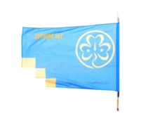 LOCAL INTEREST BRISTOL SCOUT FLAG ON POLE