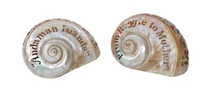 TWIN COLONIAL FOLK ART CARVED & ENGRAVED PEARL SHELLS
