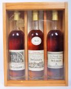 CASED SET OF 3 DELAMAIN GRANDE CHAMPAGNE COGNAC